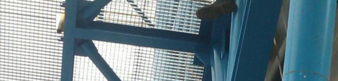 Снимка  от Иван Шанов