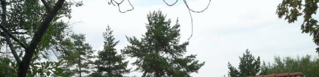 Снимка  от Aram Papazyan