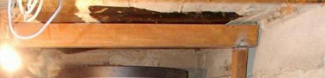 Снимка  от Димо Димов