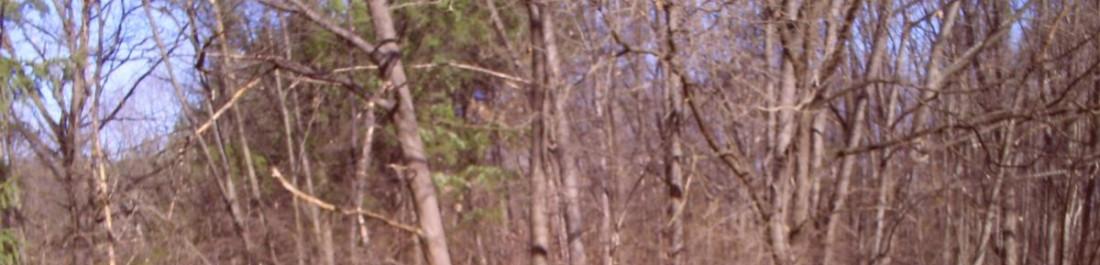 обработка на парк