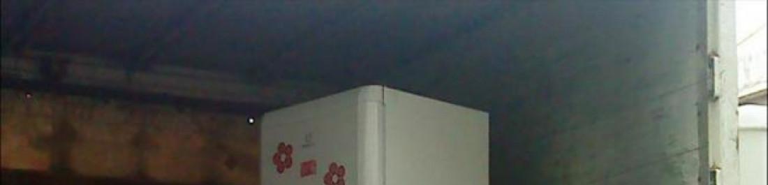 Снимка  от Manov Manov