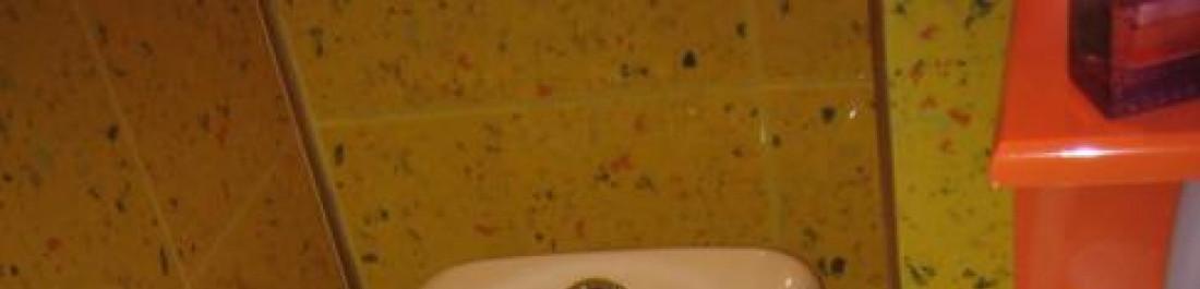 Снимка  от Георги Петров