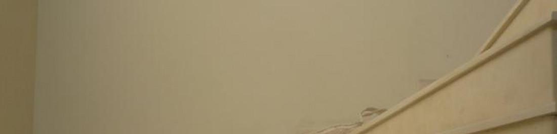 Снимка  от Ивайло Борисов