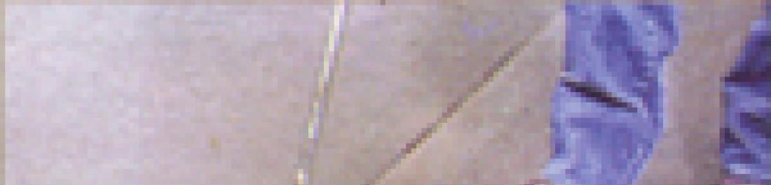 Снимка  от Росен Малкочев