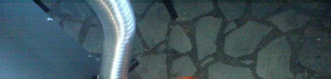 Снимка  от Димитър Филипов