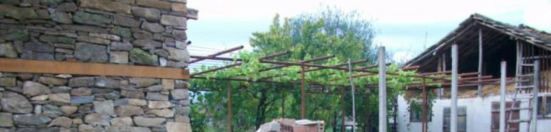 Снимка  от Стефан Хаджиев