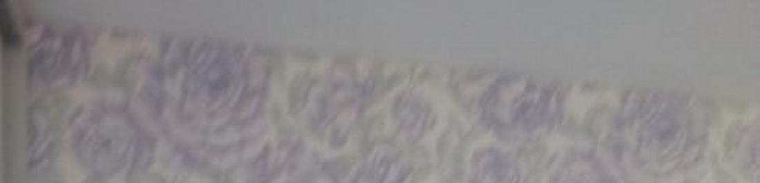 Снимка  от Иван Димитров