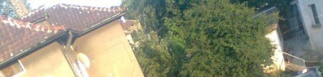 Снимка  от Петър Илиев