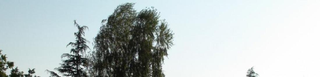 Снимка  от Aнна Филипова