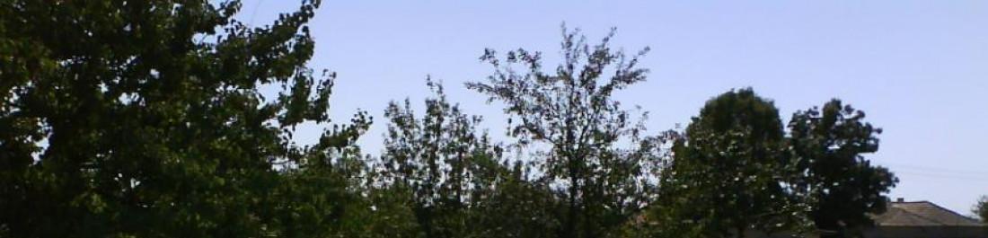 Снимка  от стелиян лазаров