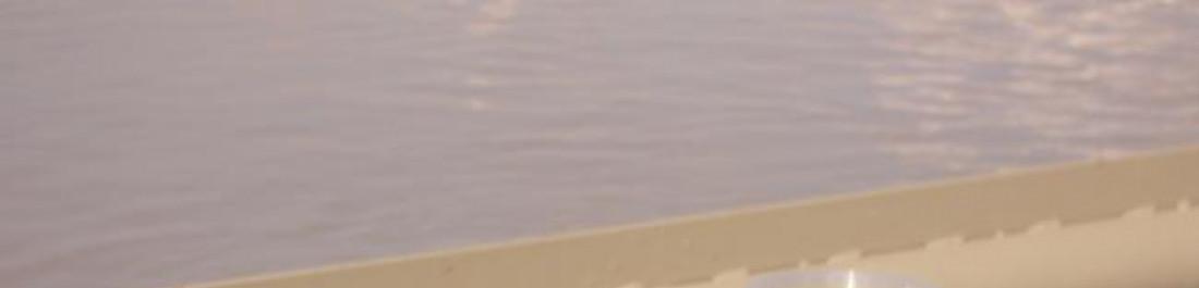 Снимка  от ЕИС ООД Димитров