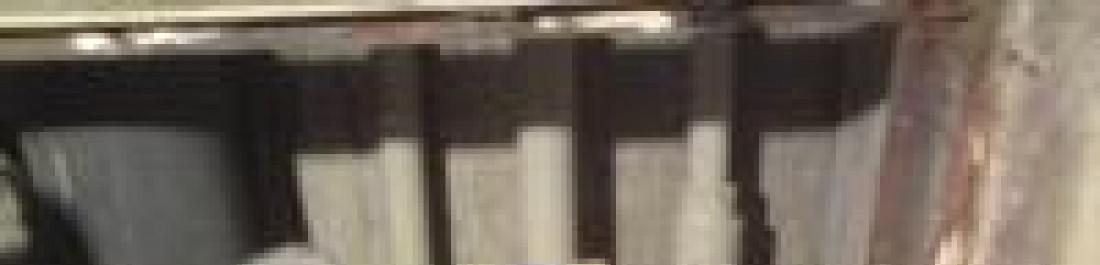 Снимка  от Димитър Белев