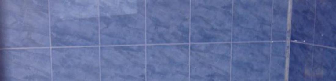 Снимка  от Димитър Стефанов