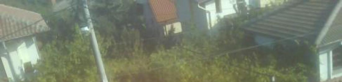 Снимка  от Димитър Нови покриви