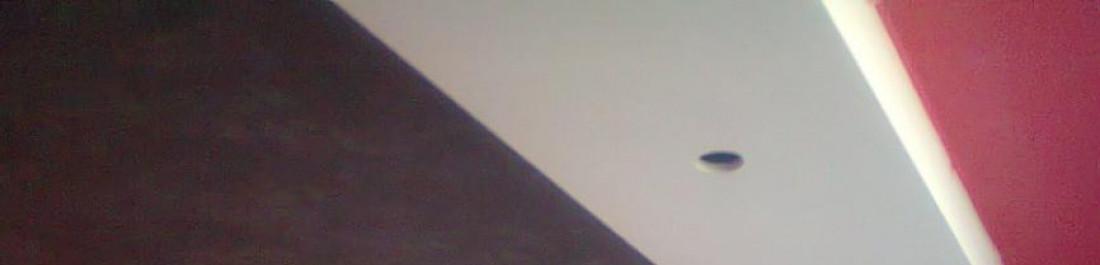 Снимка  от Atanas Stoyanov