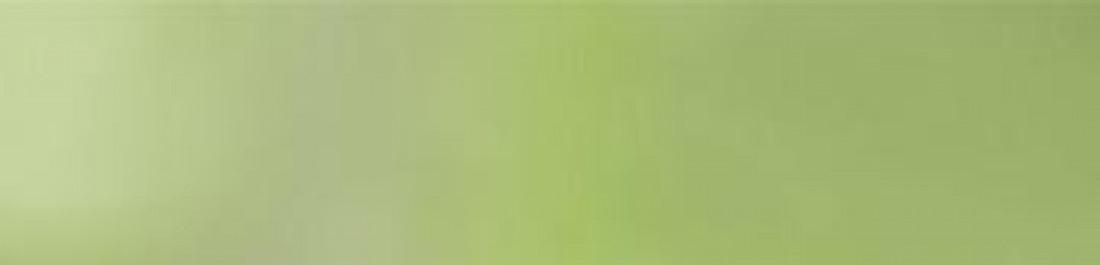 Снимка  от Илиян Андонов