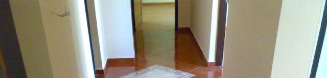 Снимка  от Martin Getov