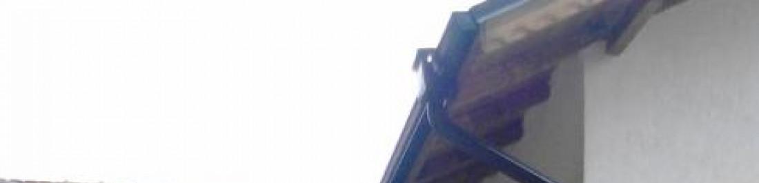 Снимка  от николай димитров