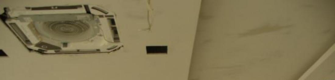 Снимка  от Иван Апостолов