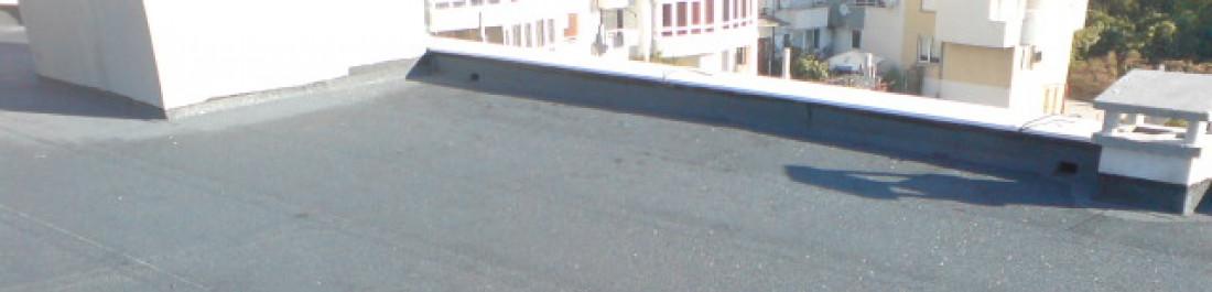 Снимка  от Георги Ефремов