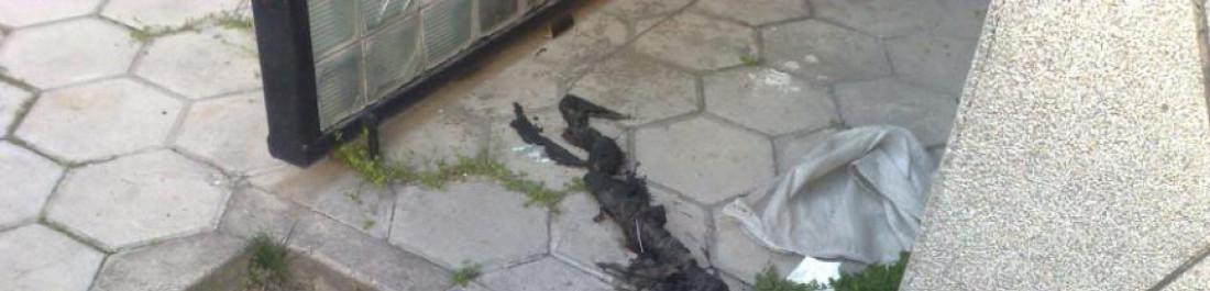 Снимка  от Иван Генчев