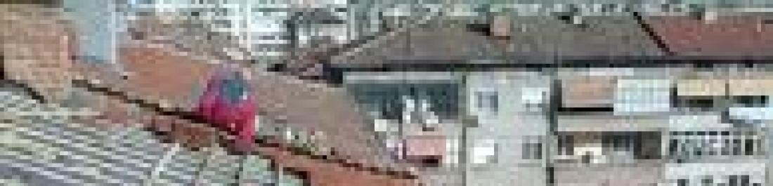 Снимка  от Янко Янков