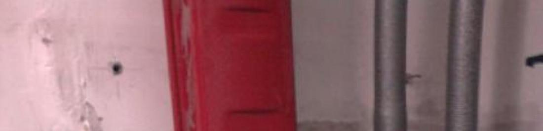 Снимка  от Радосвет Иванов