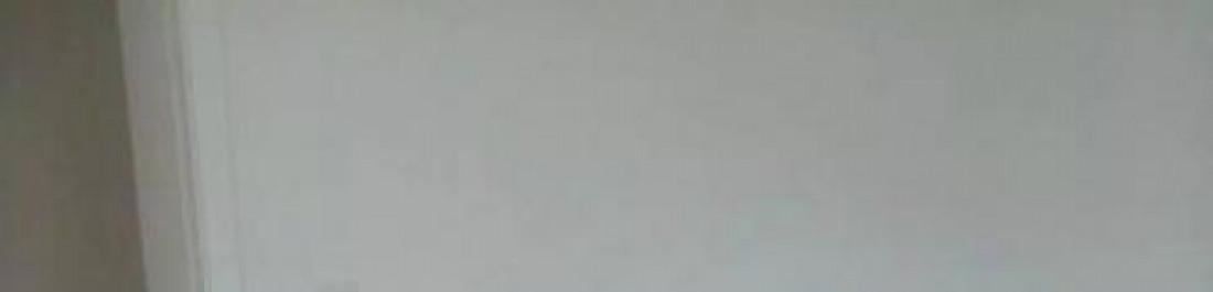 Снимка  от Александър Зарков