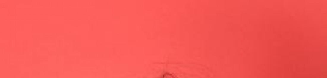 Снимка  от Габриела Ангелова