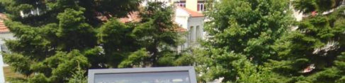 Снимка  от ivo gornev