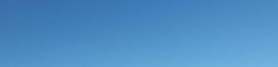 Снимка  от БЕЛА-БГ ЕООД ПЛОВДИВ