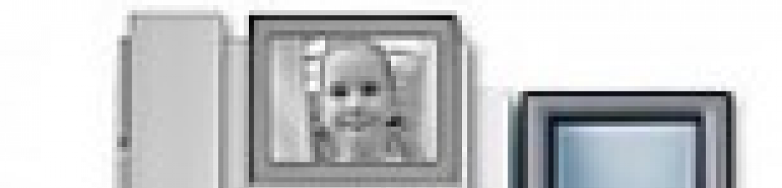 Снимка  от georgi petrov