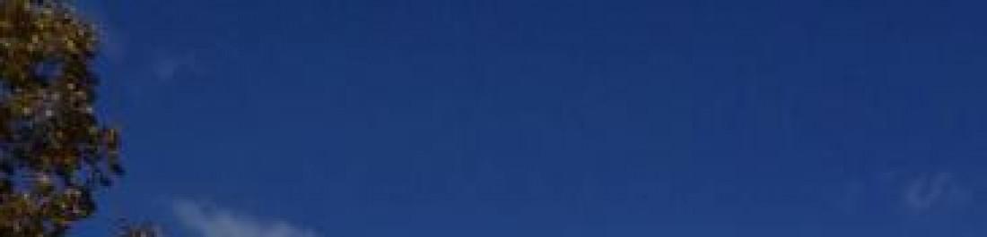 Снимка  от симеон kostov