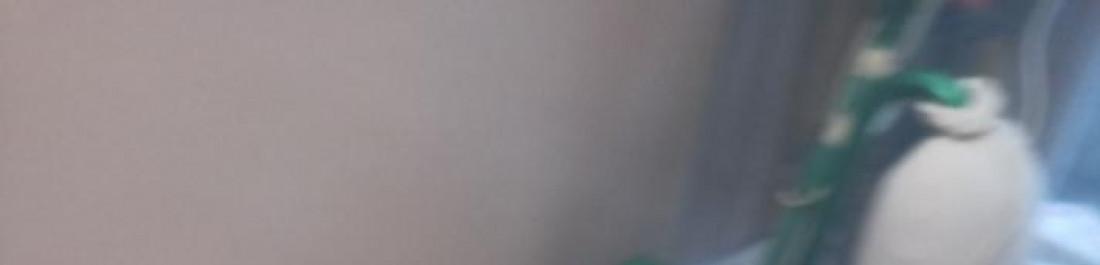 Циклене паркет и дюшеме ремонти,редене на паркет и доставка!