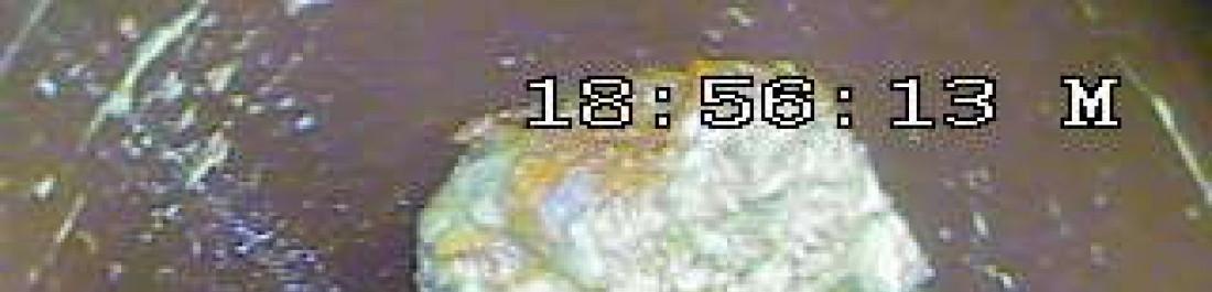 Снимка  от Димитър Димитров