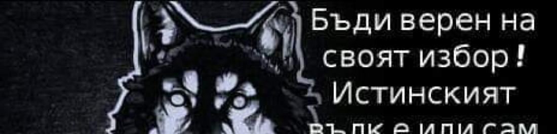 Бизнес снимка на Галин