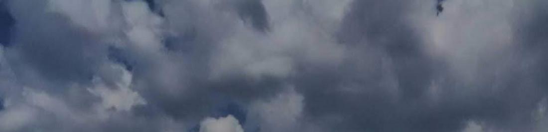 Профилна снимка - Божидар Николов