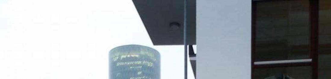 label.cover - Димо Павлов