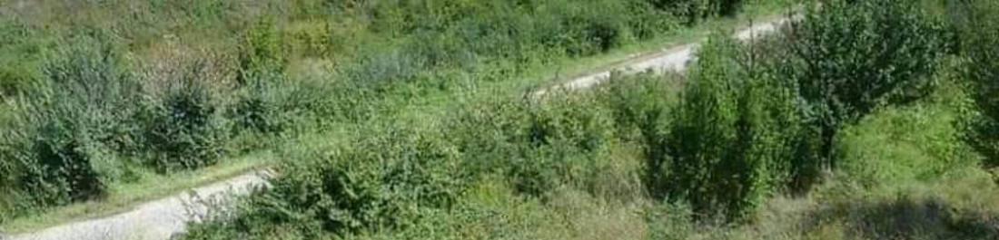 label.cover - Асен Василев