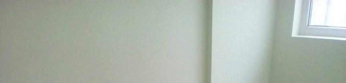 label.cover - Димо Белчев