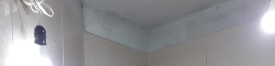 label.cover - Николай Илиев