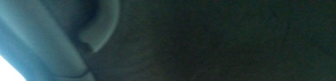 label.cover - Валери Панов