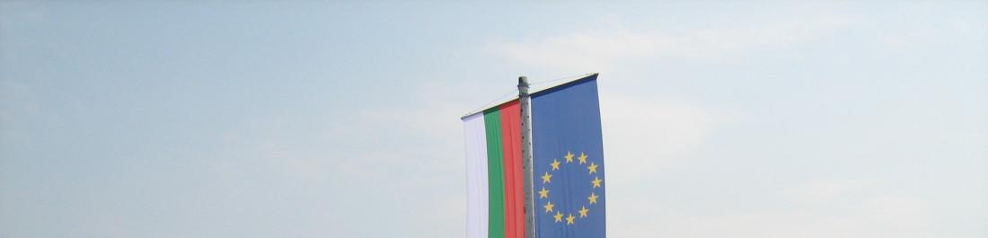 label.cover - Милена Радева