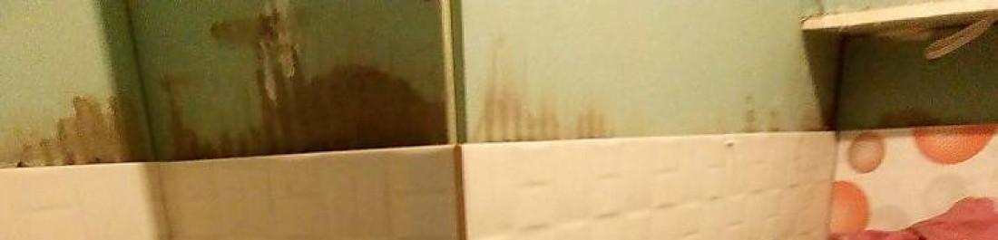 label.cover - Иван Ташев