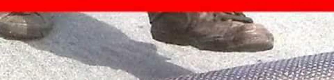 label.cover - Николай Йорданов