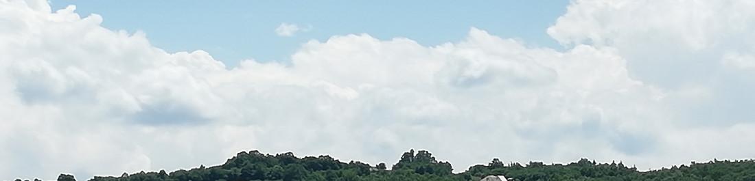 label.cover - Цветанка Янакиева