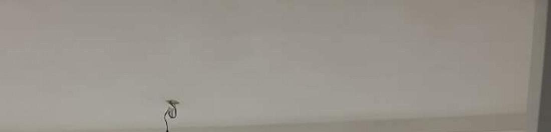 FB_IMG_1633424813282