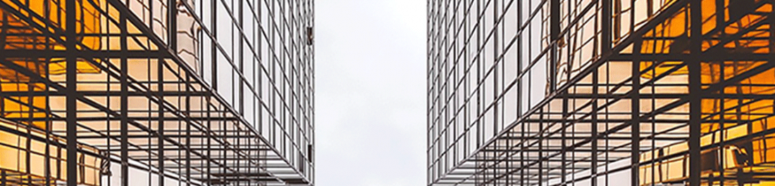 label.cover - Найденова Найденова