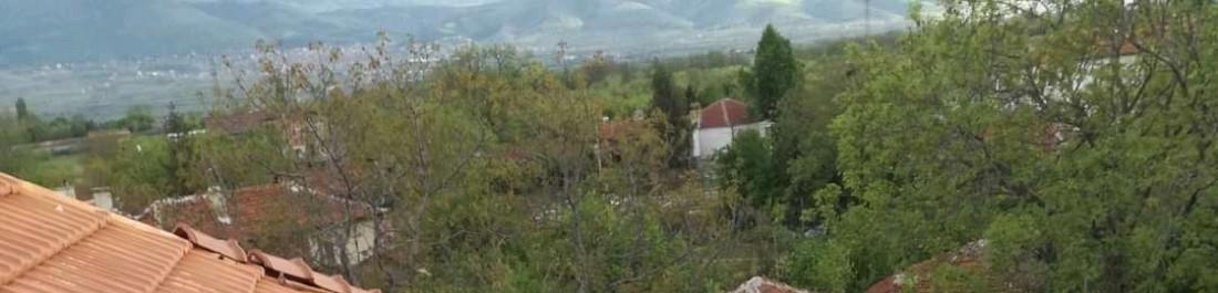 FB_IMG_16351047846062459