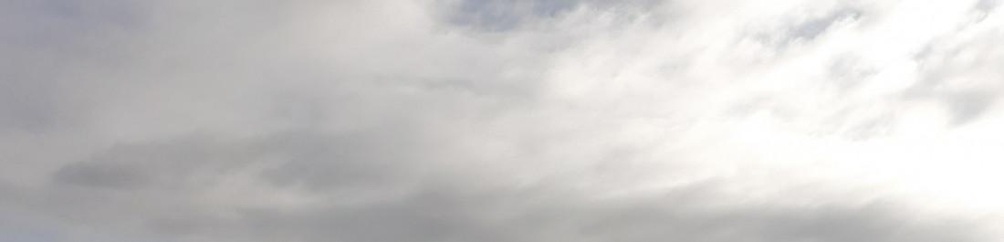 label.cover - Методи Василев